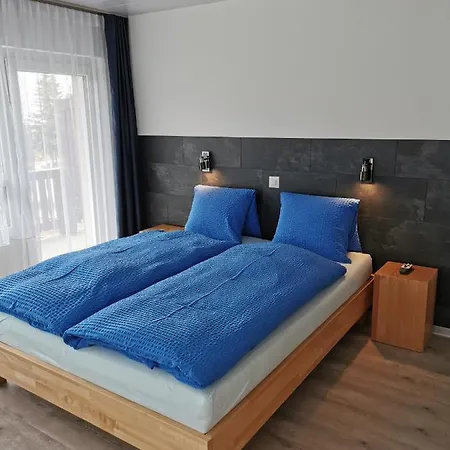 Alpha Hotel Grächen