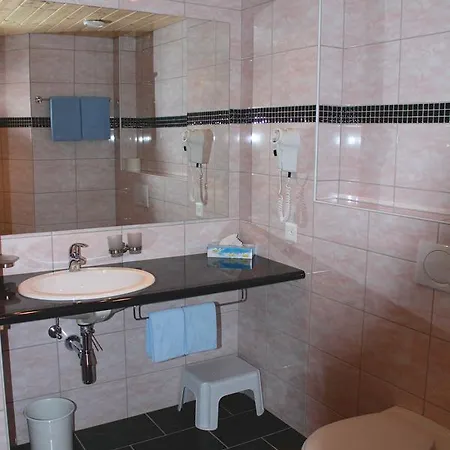 Alpha Hotel Grächen